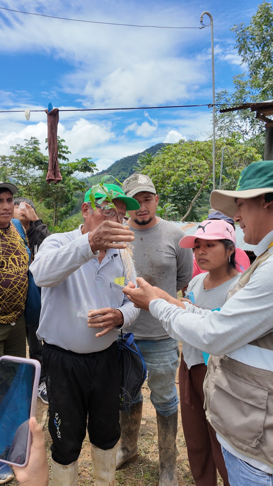 capacitacion sobre nemátodos